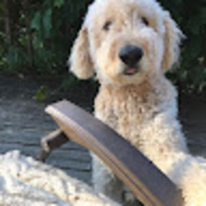 Meet your Posher, Sophie